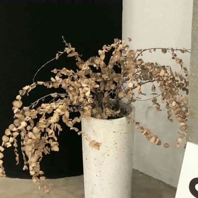 Furry插画色彩灵感FurryQQ群